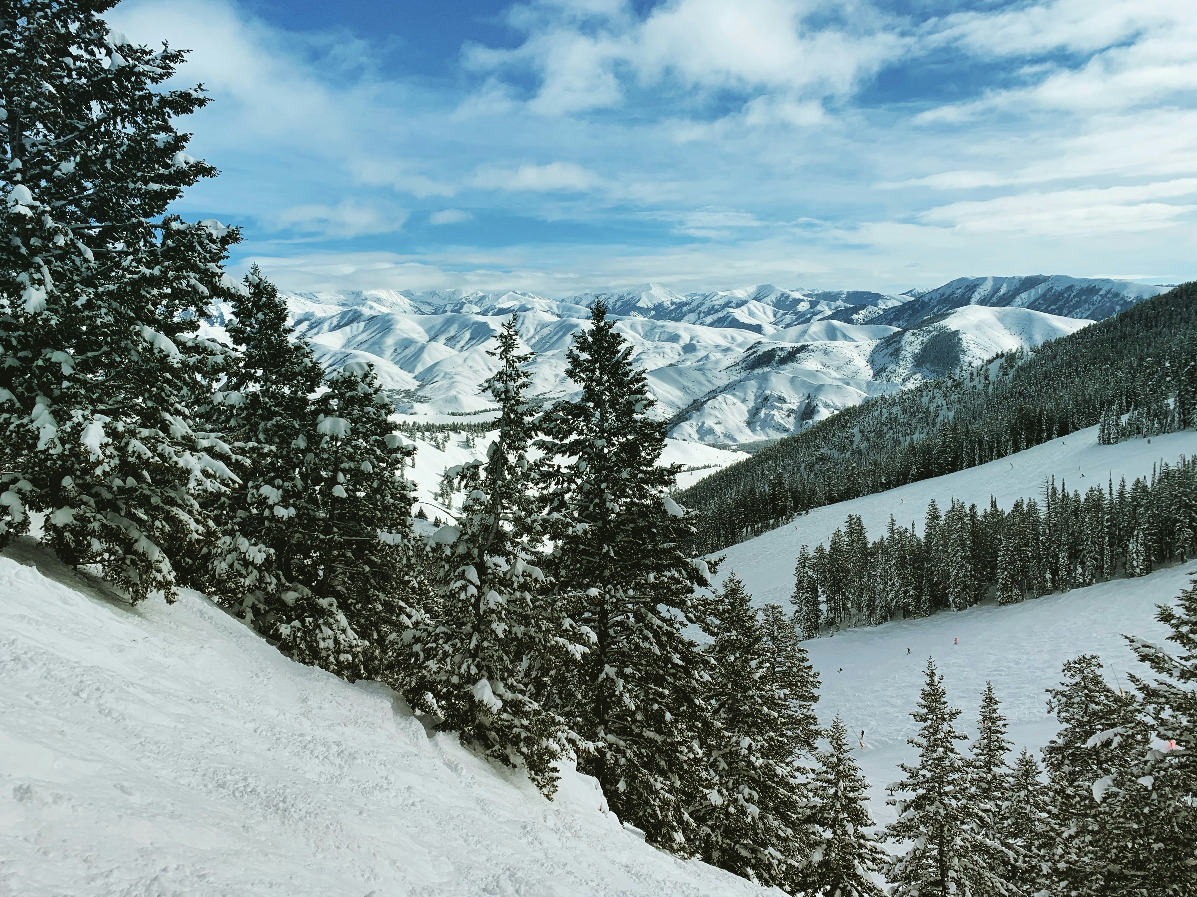 Sun Valley