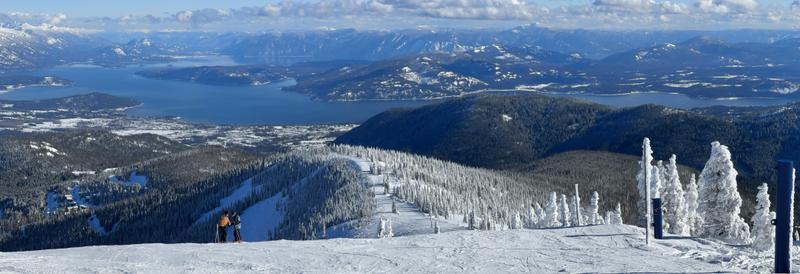 Schweitzer