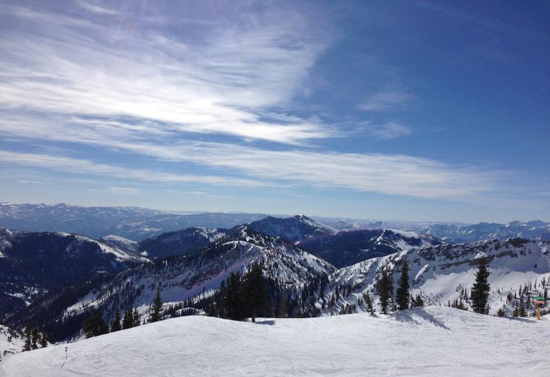 Snowbird