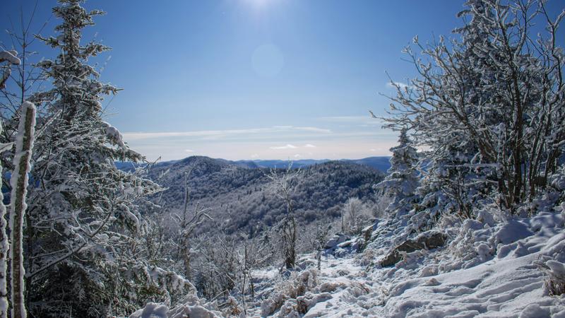 Sugarbush Resort