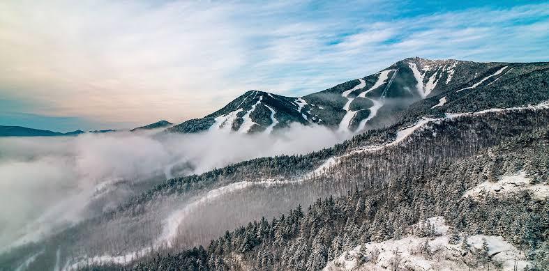 Whiteface
