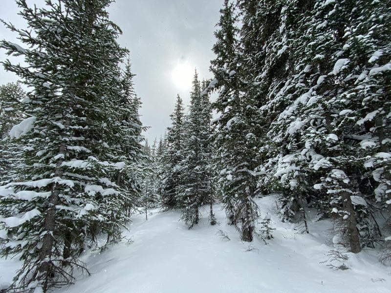 Winter Park